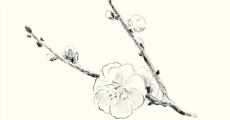 鉛筆画で描く日常『1日1絵』｜森さやか | イラストレーター｜note