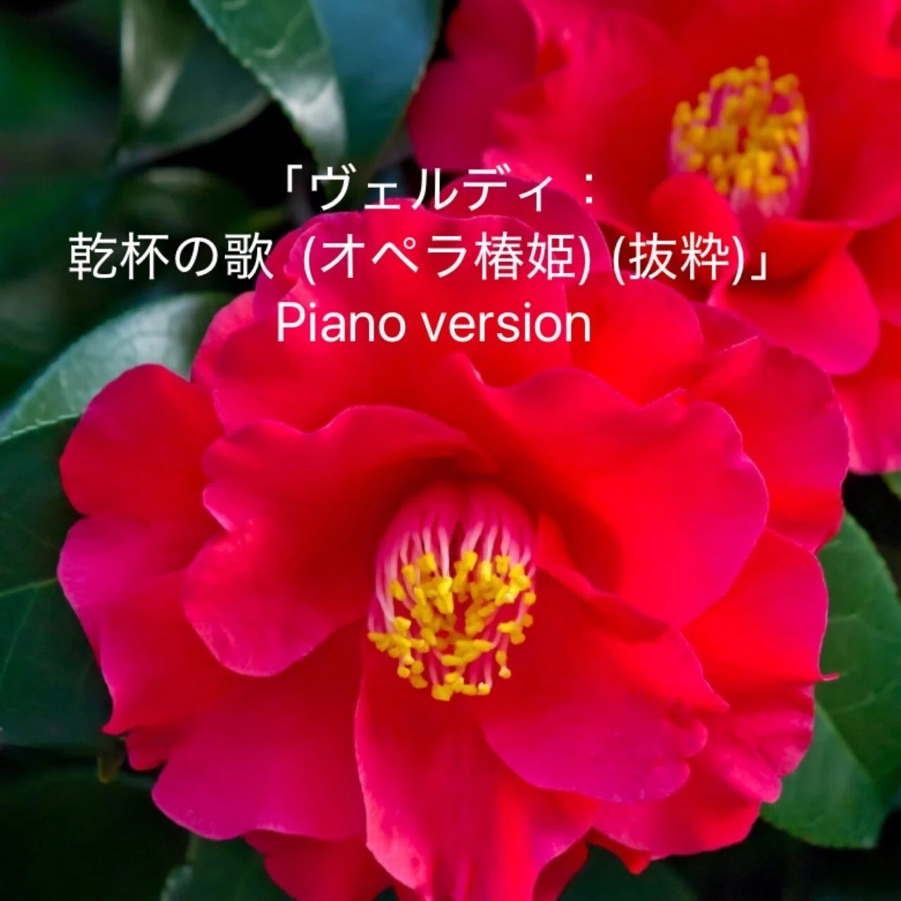 「ヴェルディ:乾杯の歌(オペラ『椿姫』) (抜粋)」|みやび