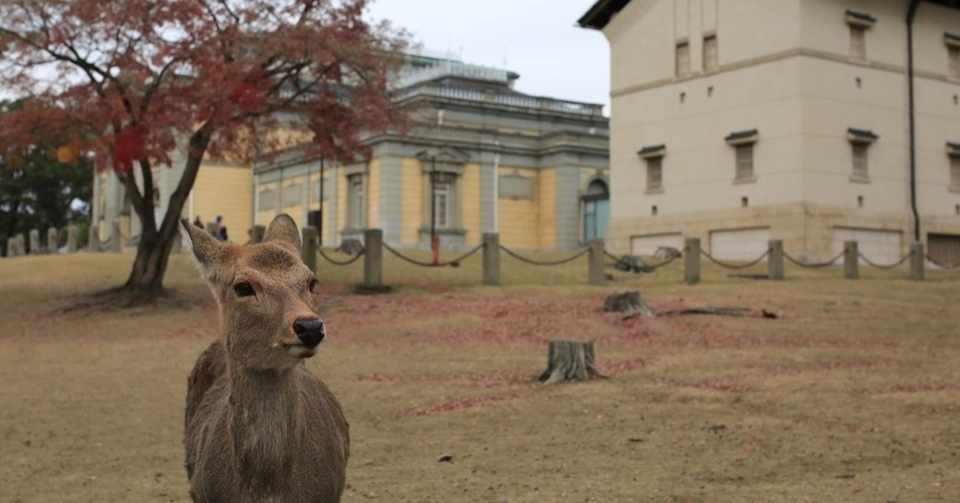 パワースポット 笠山荒神社 レモンの勇気 Note