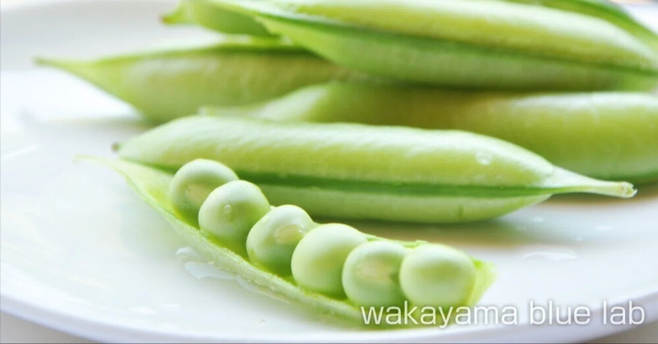 How to Eat (Boil) Usui Endo Peas｜【ちょびパンダ】和歌山案内ゆるキャラ