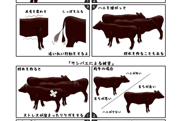 白黒模様の牛 の新着タグ記事一覧 Note つくる つながる とどける 白黒模様の牛 の新着タグ記事一覧 Note つくる つながる とどける