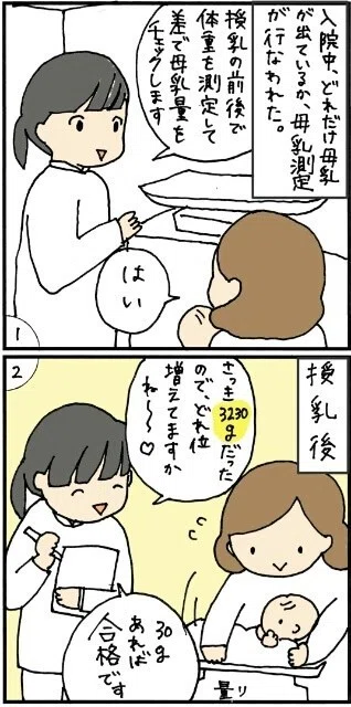母乳育児レポ 産後クライシスと乳腺炎 オキエイコ Note