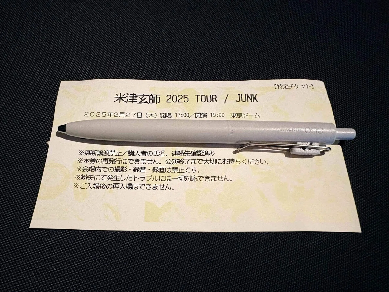米津玄師2025 TOUR「JUNK」目の前にいるのに遠い人｜餅