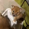 めいちゃん