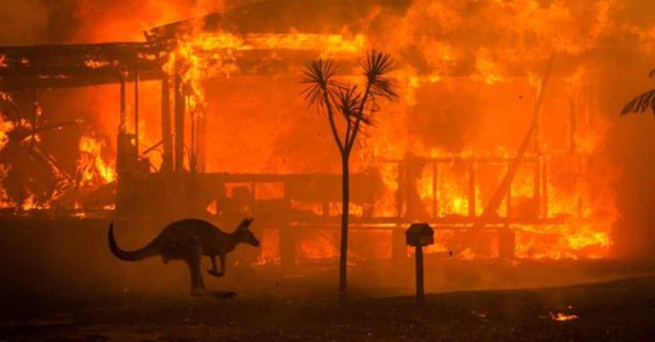 あなたのためのイラスト トップ100森林 火災 山 火事 イラスト