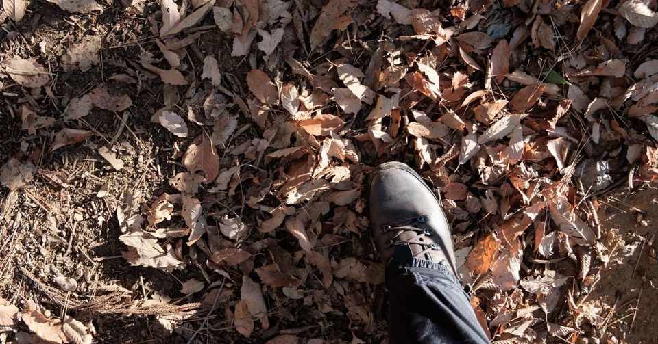 登山靴あれこれ Lowaタホープロについて Yamadagawa Note