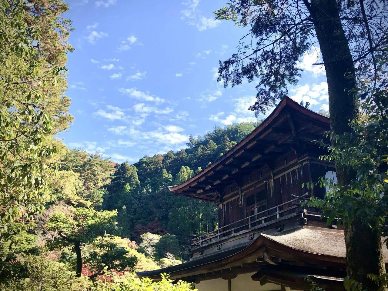 京都を歩こう 14 銀閣寺｜主婦の肩書きだけあるる