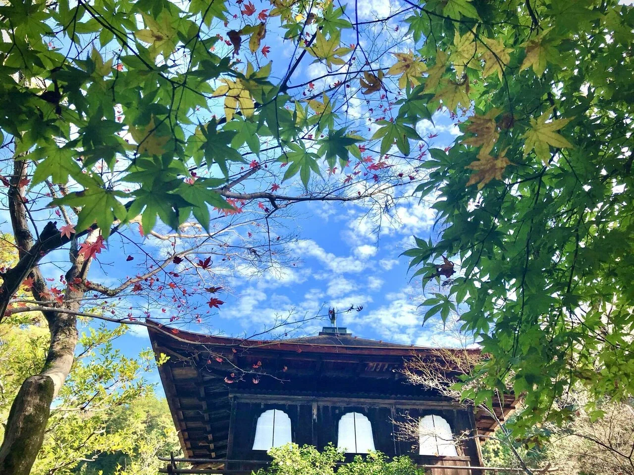 京都を歩こう 14 銀閣寺｜主婦の肩書きだけあるる
