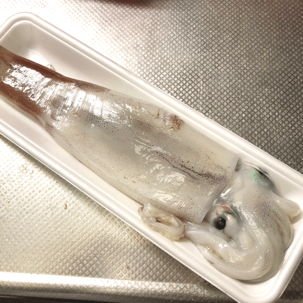 イカが食べたい スルメイカのさばき方 古谷 真知子 家庭料理コンサルタント Note
