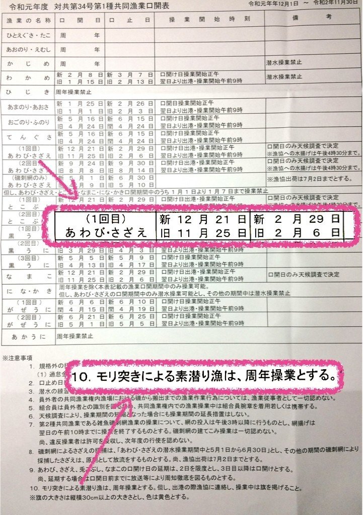魚突き漁の話 Ottie Yuichiro Note