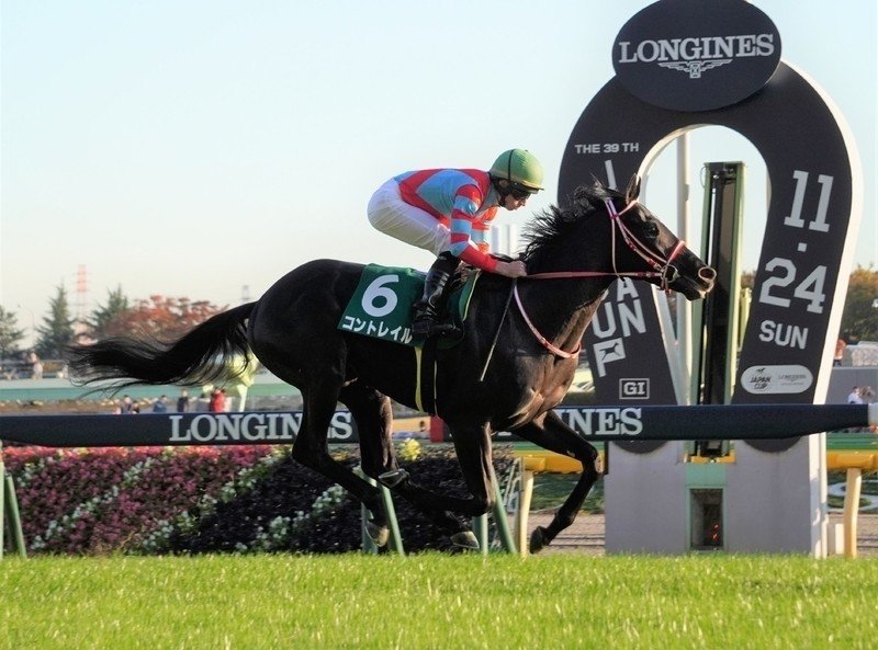 19年 競馬で活躍した馬を調べてみた ランスロット Note 19年 競馬で活躍した馬を調べてみた ランスロット Note