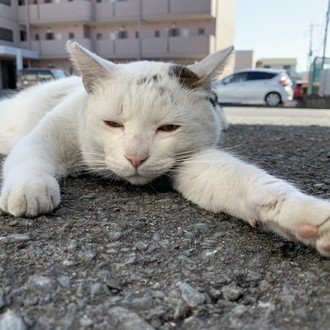 やぎちゃん