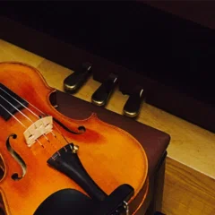 🎻オケおじ理事の鑑賞記📖＃42｜オケおじ理事