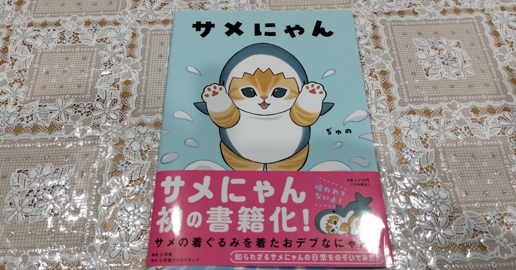 サメにゃん/ぢゅの｜真咲ともか
