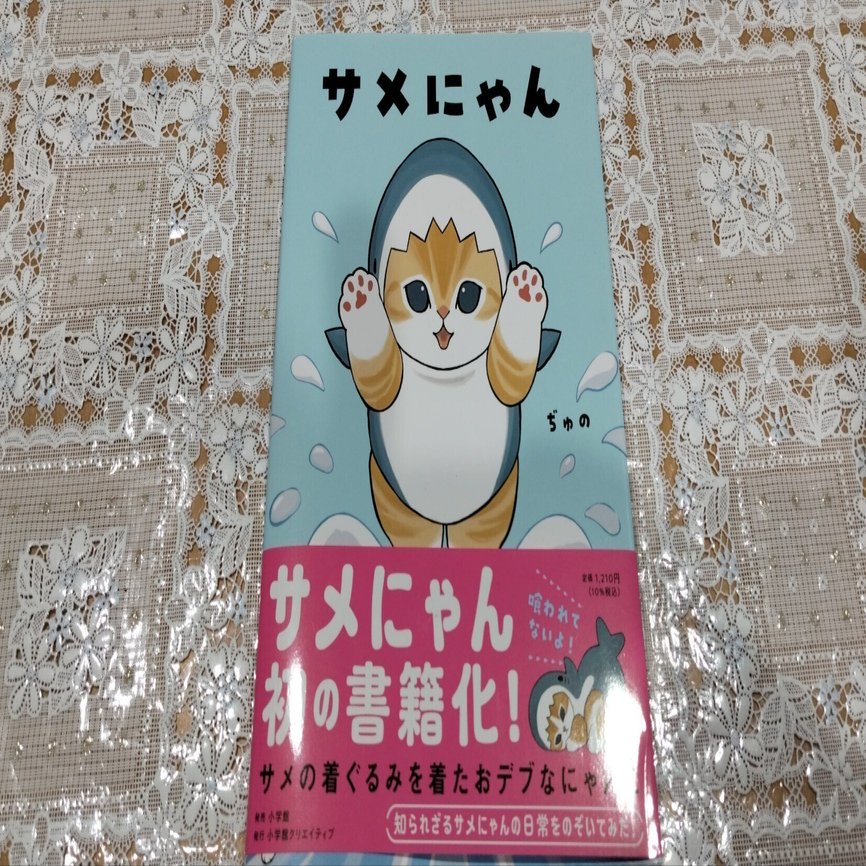 サメにゃん/ぢゅの｜真咲ともか