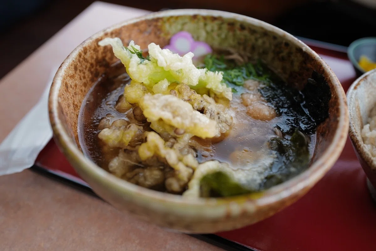 うどん・出雲そば『たまき』|島根県出雲市|INOUE Tomohiro