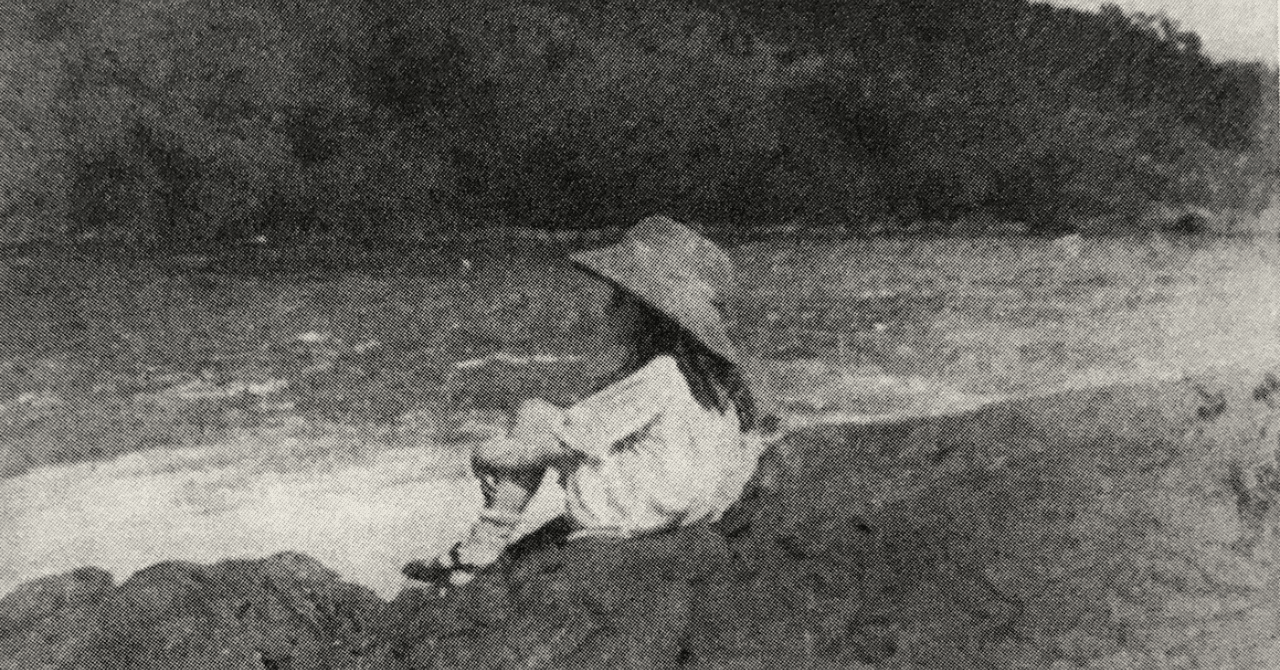 ジャングルの国のアリス』レビュー｜神楽坂らせん