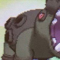 Swsh シーズン9 使用構築 カバポリtribe 最高2144最終1975 414位 くろこ Note