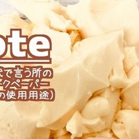 読書感想 死体を買う男 歌野晶午 読了 ネタバレ注意 朝五 一花 Asago Ichika イラストお仕事募集中 Note