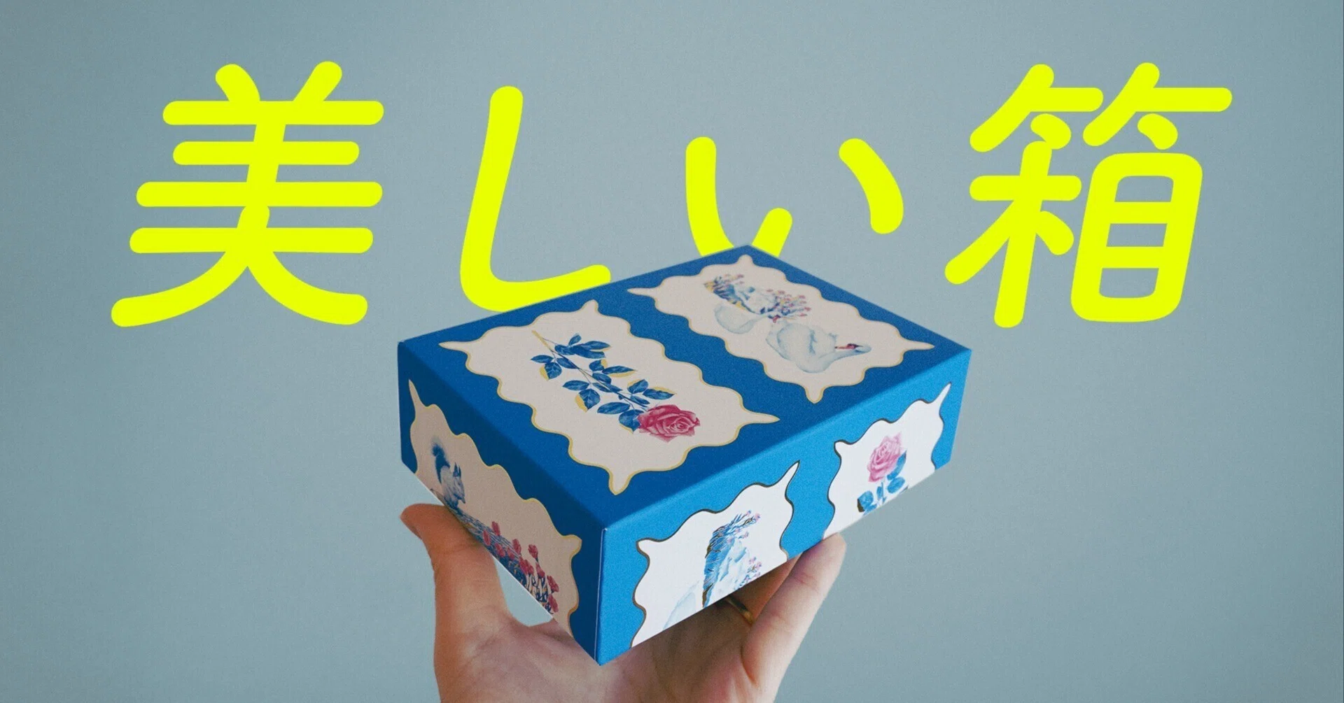 入れたいものは、ないけれど ｜ 箱あつめの美学｜永山ちか：観る