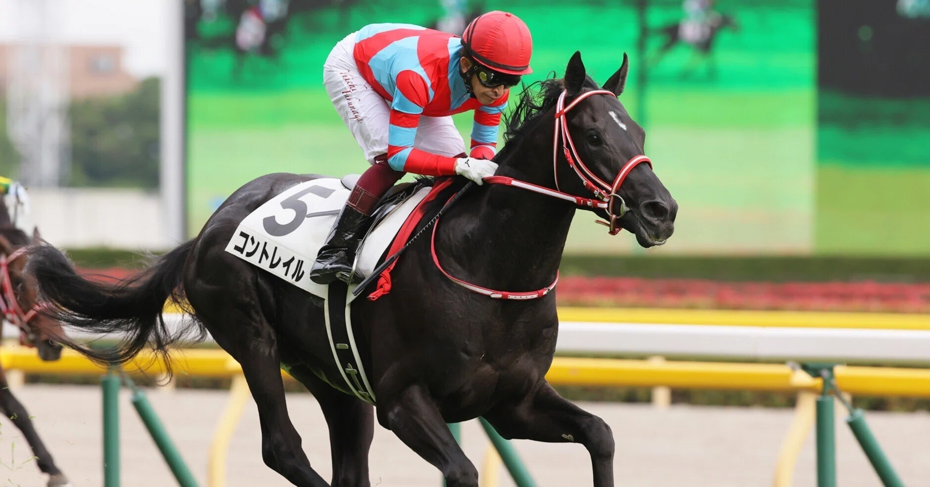 POG向け⑤コントレイル産駒注目馬：クラブ馬編｜Key 【一口馬主手帳】