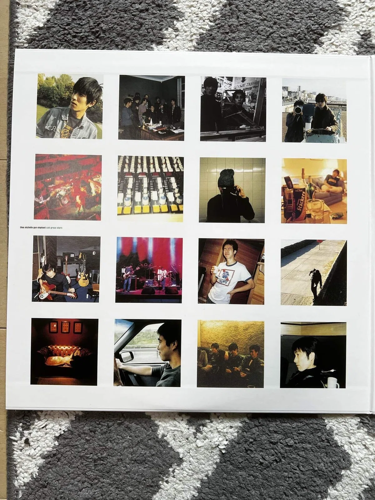 thee michelle gun elephant」の「cult grass stars」のレコードが 