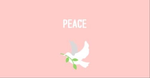 鳩とノアの箱舟の関係性とは？ 鳩はなぜ平和の象徴になったのか