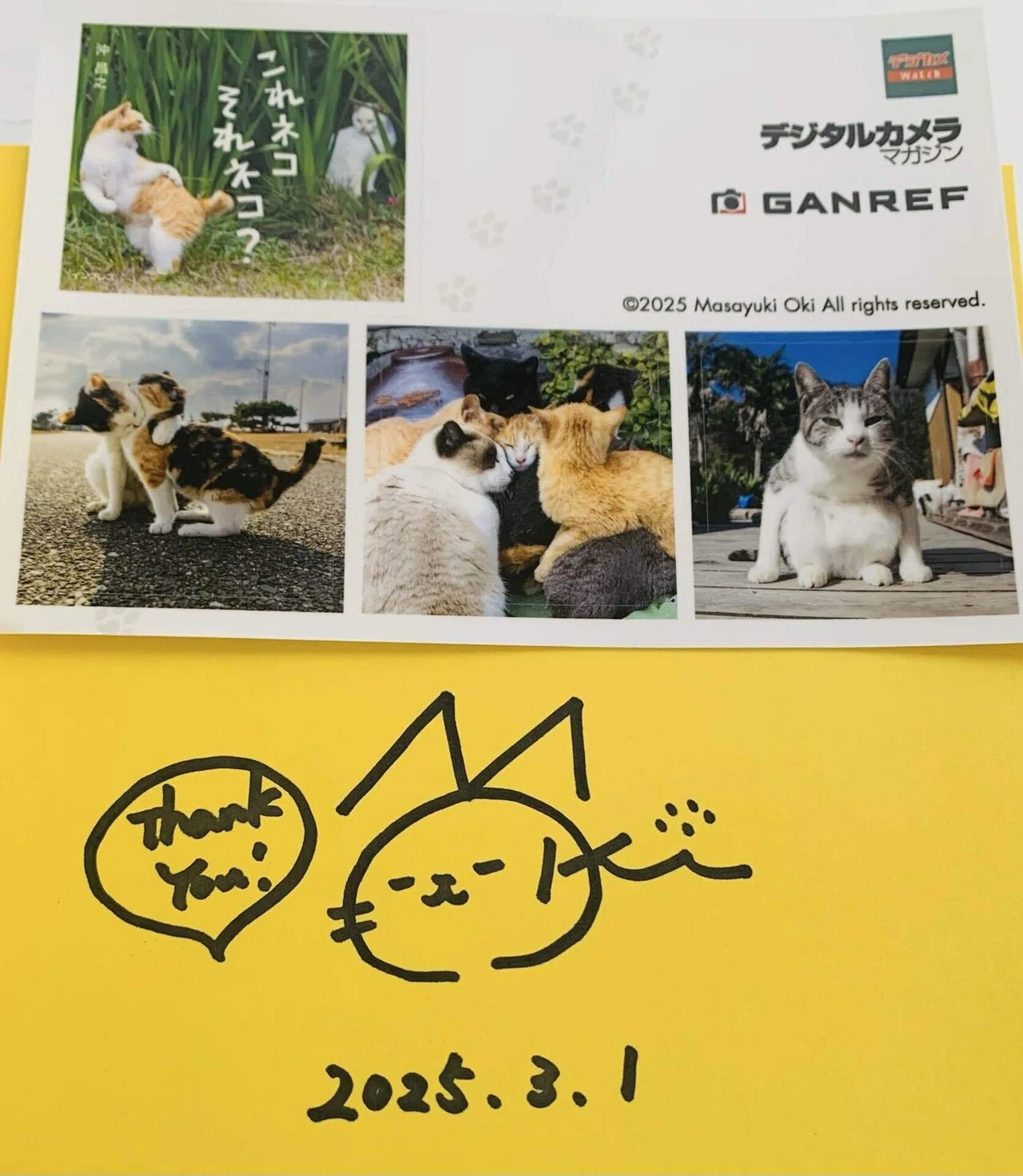 沖 昌之写真展「これネコ それネコ？」@フジフィルムスクエア｜櫻木