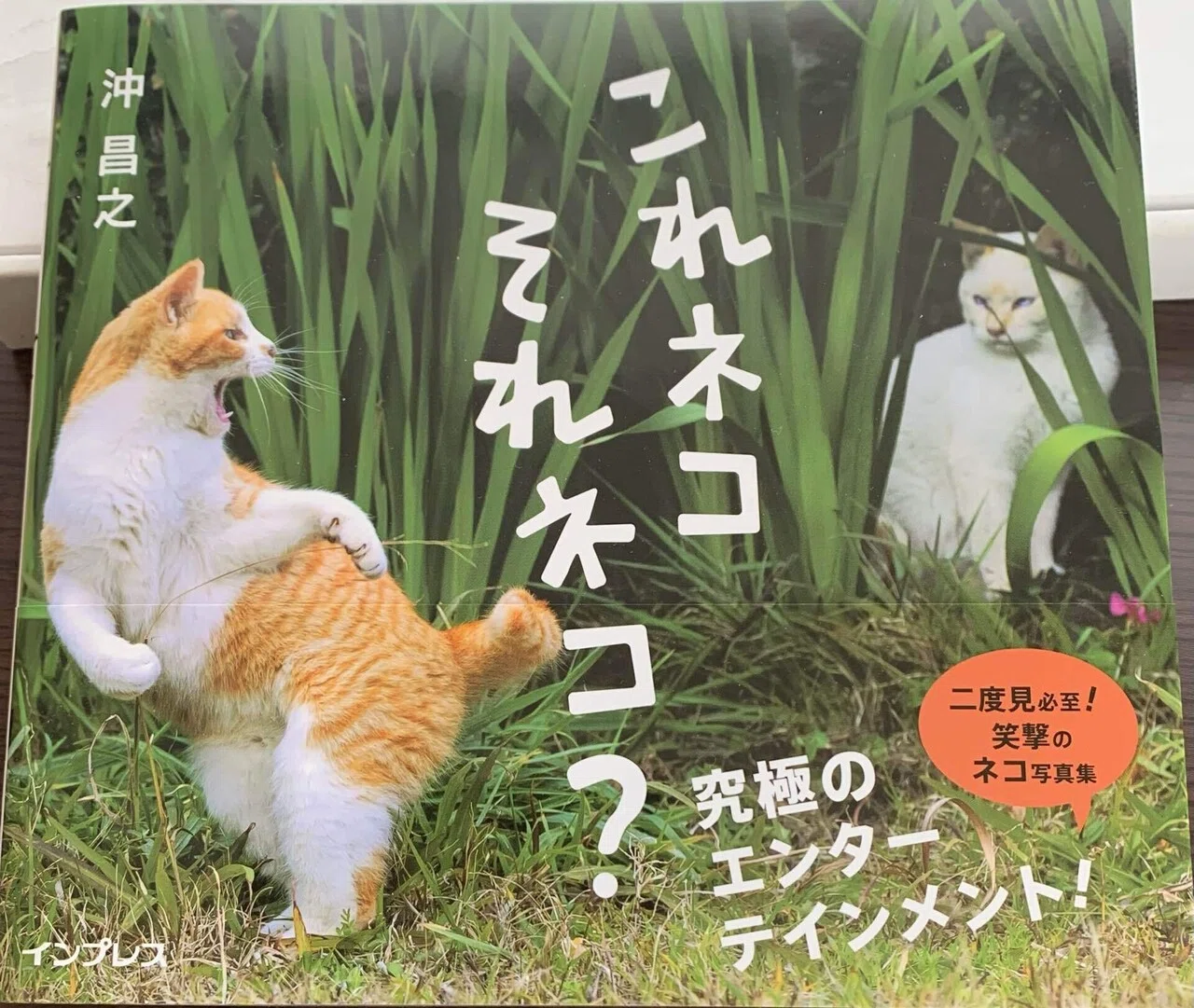 沖 昌之写真展「これネコ それネコ？」@フジフィルムスクエア｜櫻木