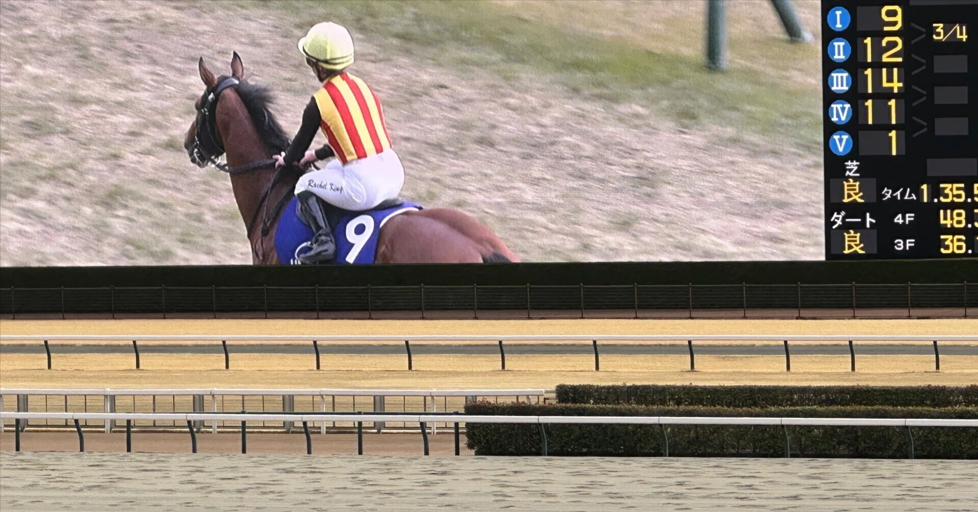 長期的に勝てる思考の馬券術｜KentyKeiba