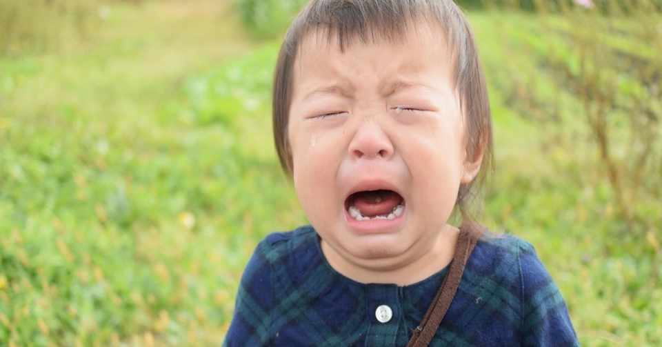 子供の撮影は泣き顔や不満顔こそ残すべき スミレ Note