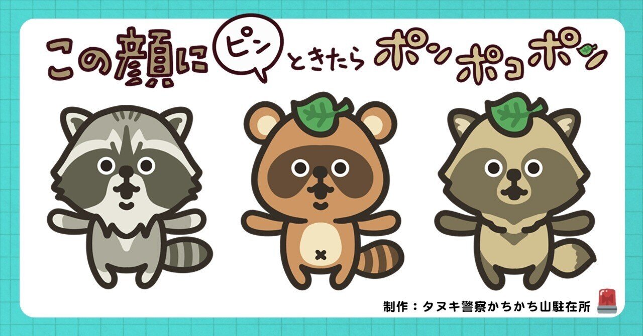 この顔にピン！ときたらポンポコポン｜タヌキじゃないタヌキに御用心