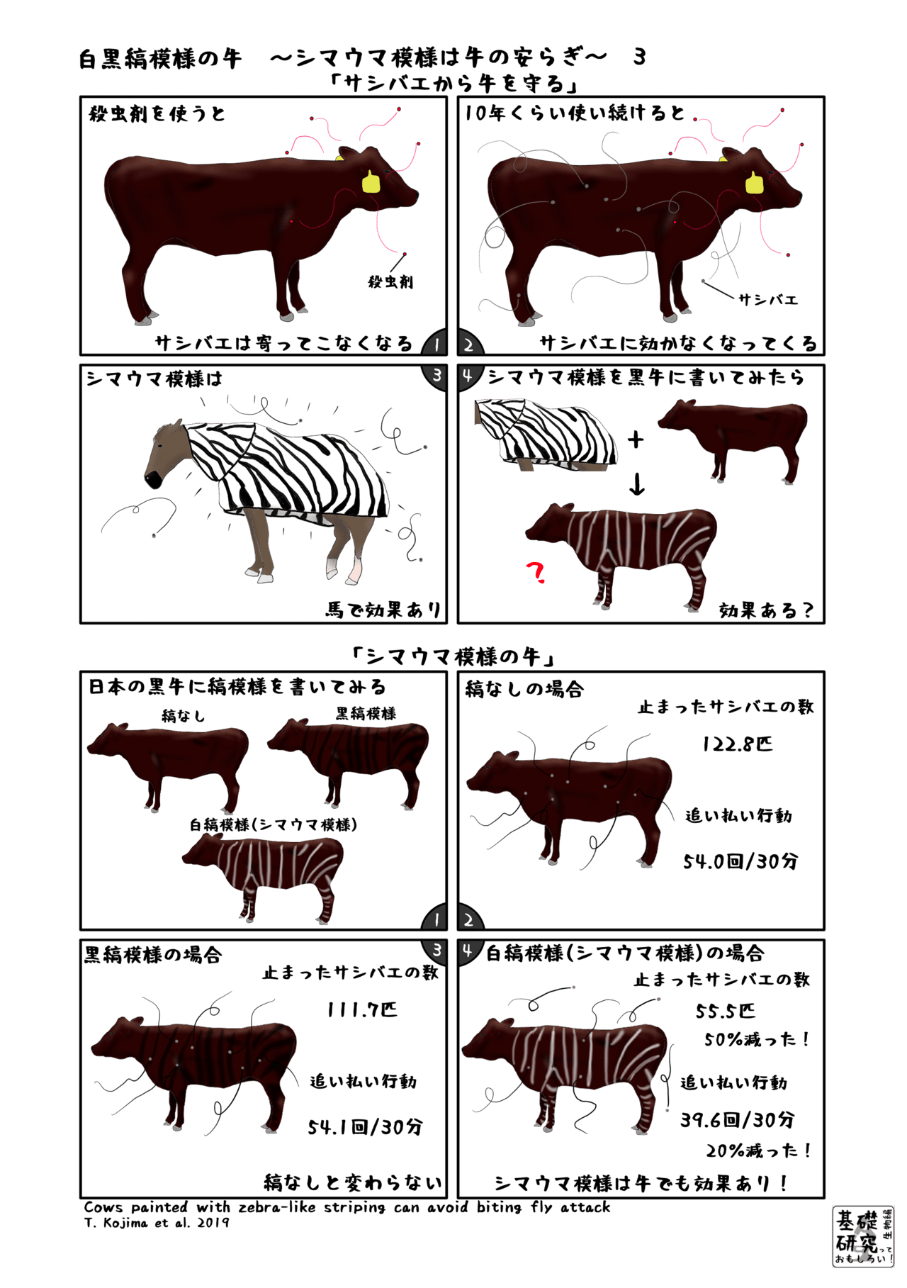 白黒縞模様の牛 シマウマ模様は牛の安らぎ 3 終 かわいせーざん 基礎研究っておもしろい 生物編 Note
