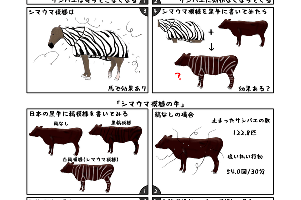 白黒模様の牛 の新着タグ記事一覧 Note つくる つながる とどける 白黒模様の牛 の新着タグ記事一覧 Note つくる つながる とどける