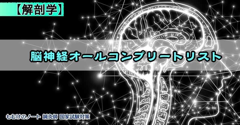 解剖学 脳神経オールコンプリートリスト ゴロあわせ 関連付けで完全