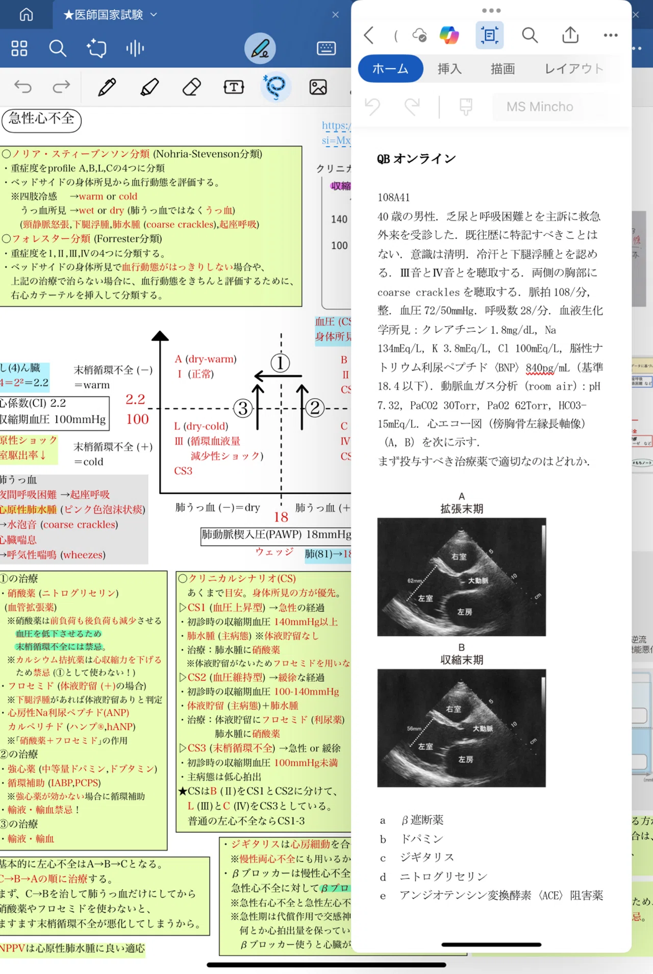 医師国家試験 完全合格マニュアル】 ～7か月で第119回 医師国家試験で