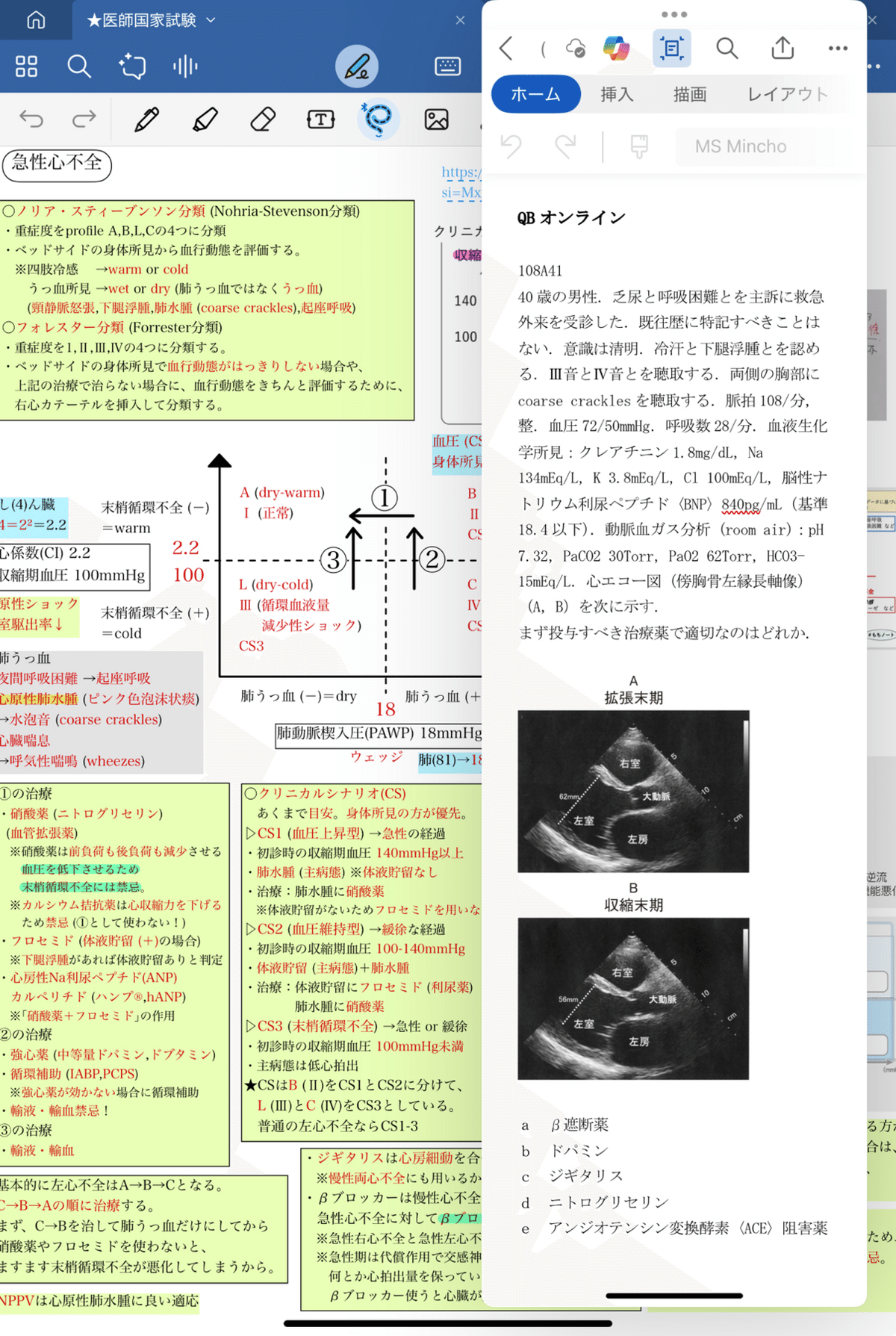 医師国家試験 完全合格マニュアル】 ～7か月で第119回 医師国家試験で