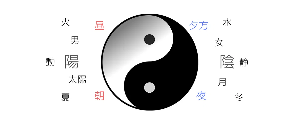 本文を追加