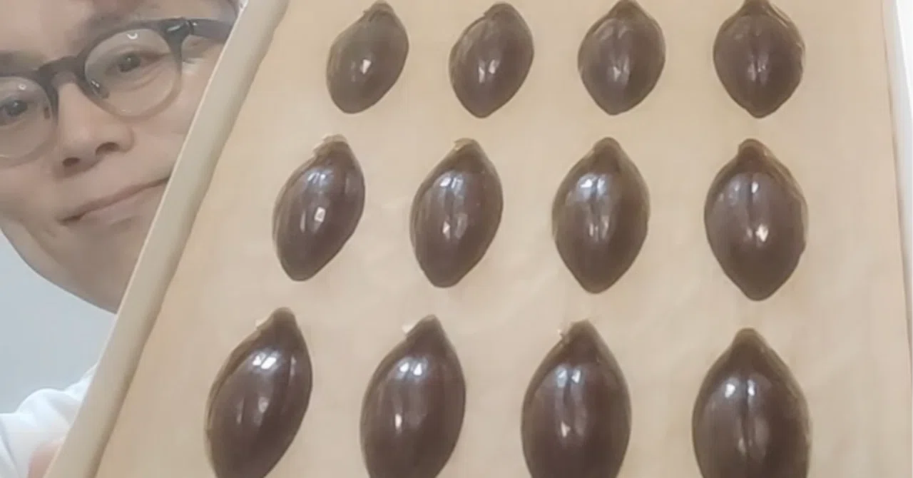 チョコです。 🙏いただきますマン 1833 カルディでベルギー・ヴァンデンブルク社の