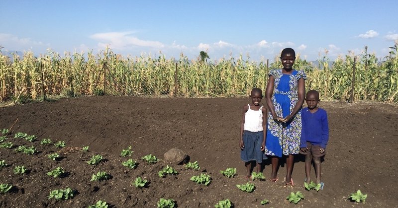 [活動報告書]ケニア共和国における孤児と脆弱な状況にある子どもたち（OVC）と保護者を支える生活向上支援事業——在来種野菜と樹木の栽培を組み合わせた農業活動の導入を通じて