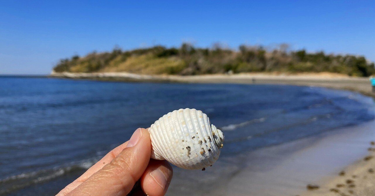 81d913c18dc270569f24c632a20f94