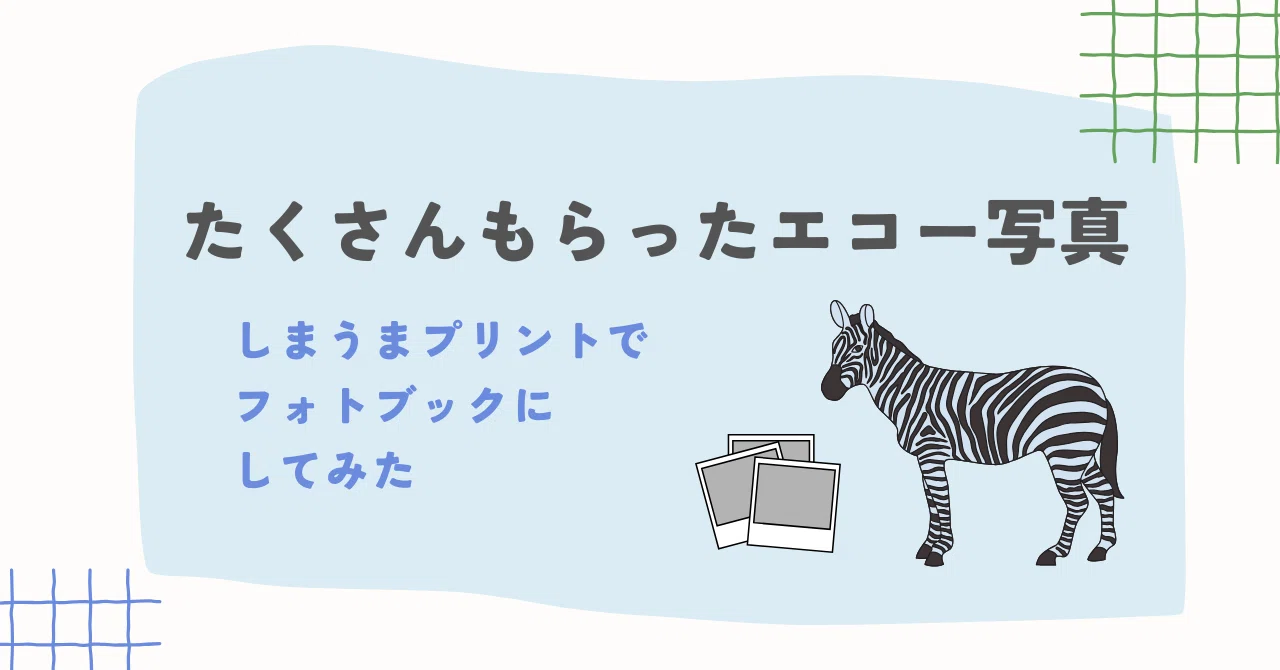 たくさんもらったエコー写真 しまうまプリントでフォトブックにして