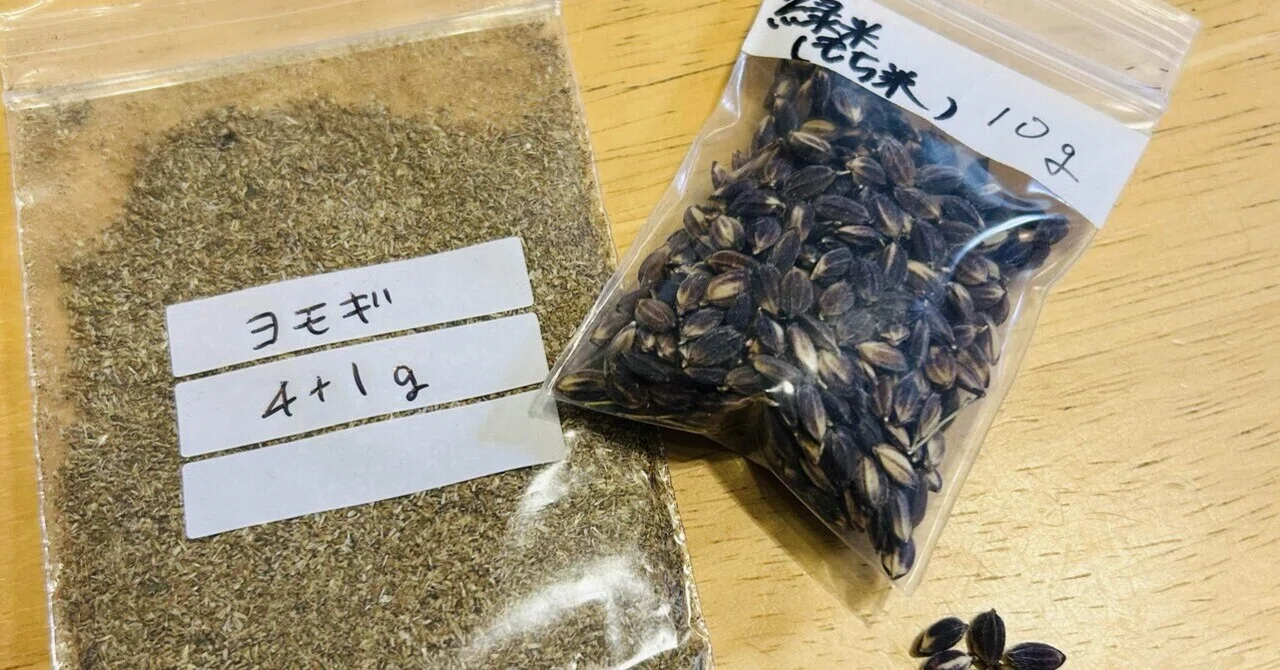 在来種600種が燃やされる！？〜