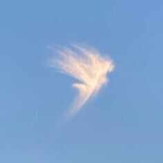 高良玉垂宮神秘書 高良大社｜綾杉るな｜note