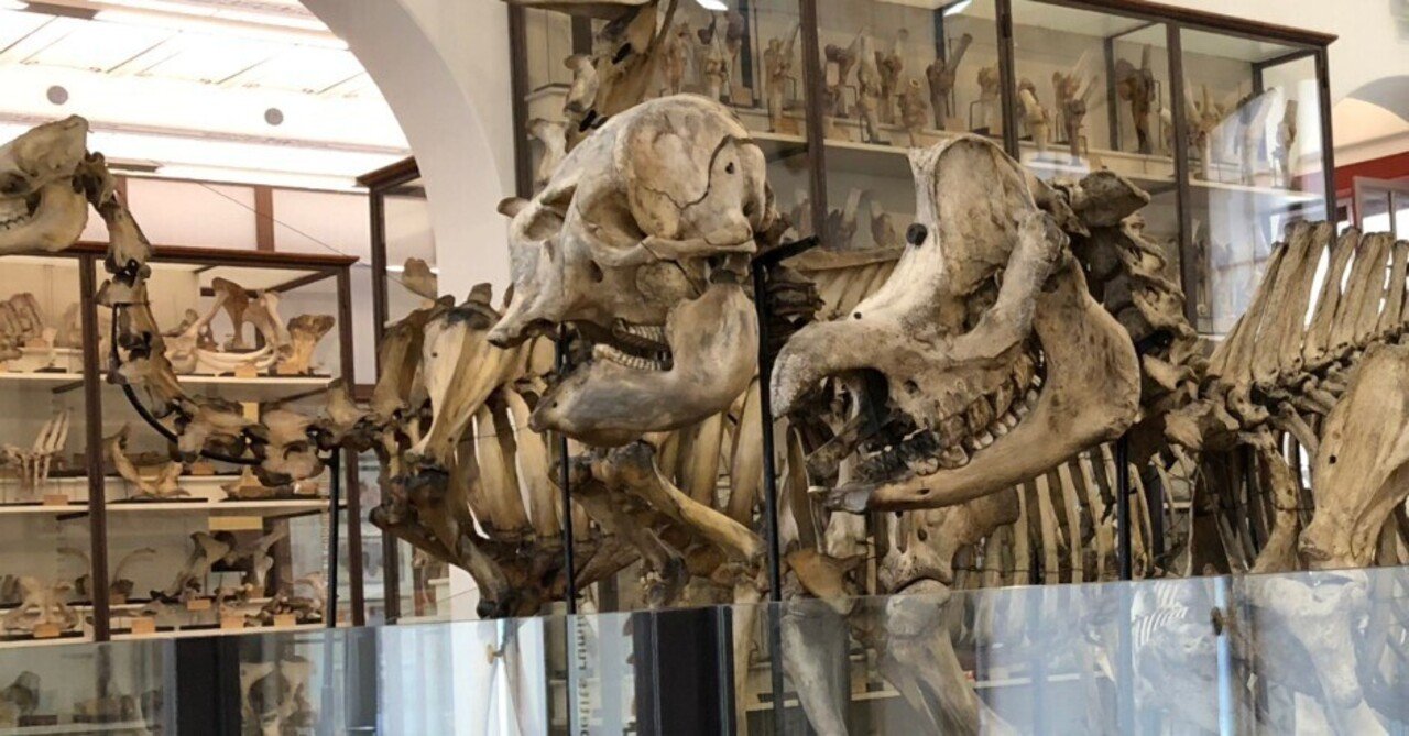 パリ旅行備忘録】「フラゴナール博物館」｜ヒロサキ