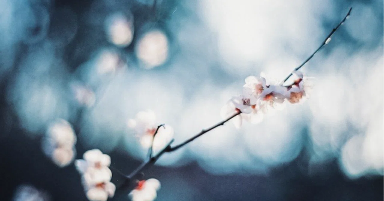 On Engaging with Time in a Way That Does Not 'Segment Time'｜Makoto Shirasu