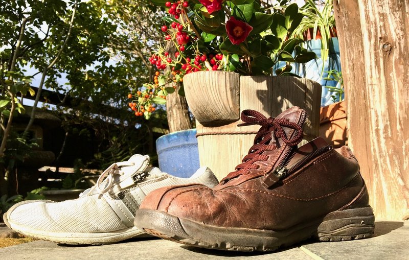 81歳の月間0kmウォーキングに高性能スポーツシューズを選んだ話 八田益之 Note