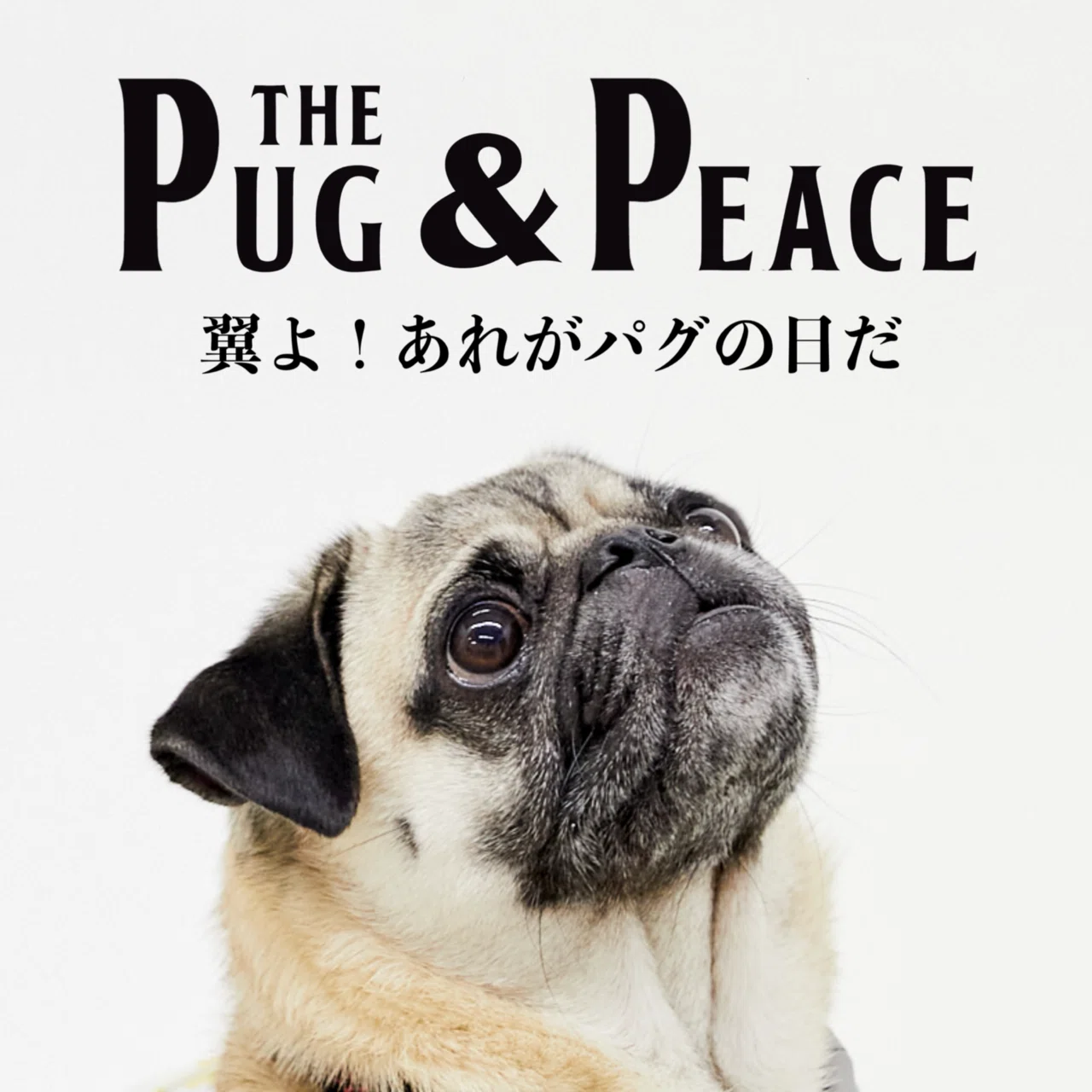 パグ様 ♡ pug_pugchan ◡̈*♡様専用 【公式通販】