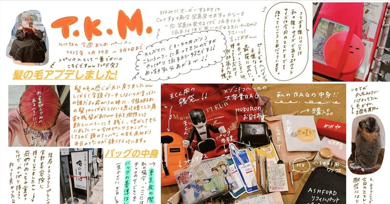 To:HAPPY世界線の皆様 - ポケットサイズ｜たけちよ（@takechiyo987）｜note