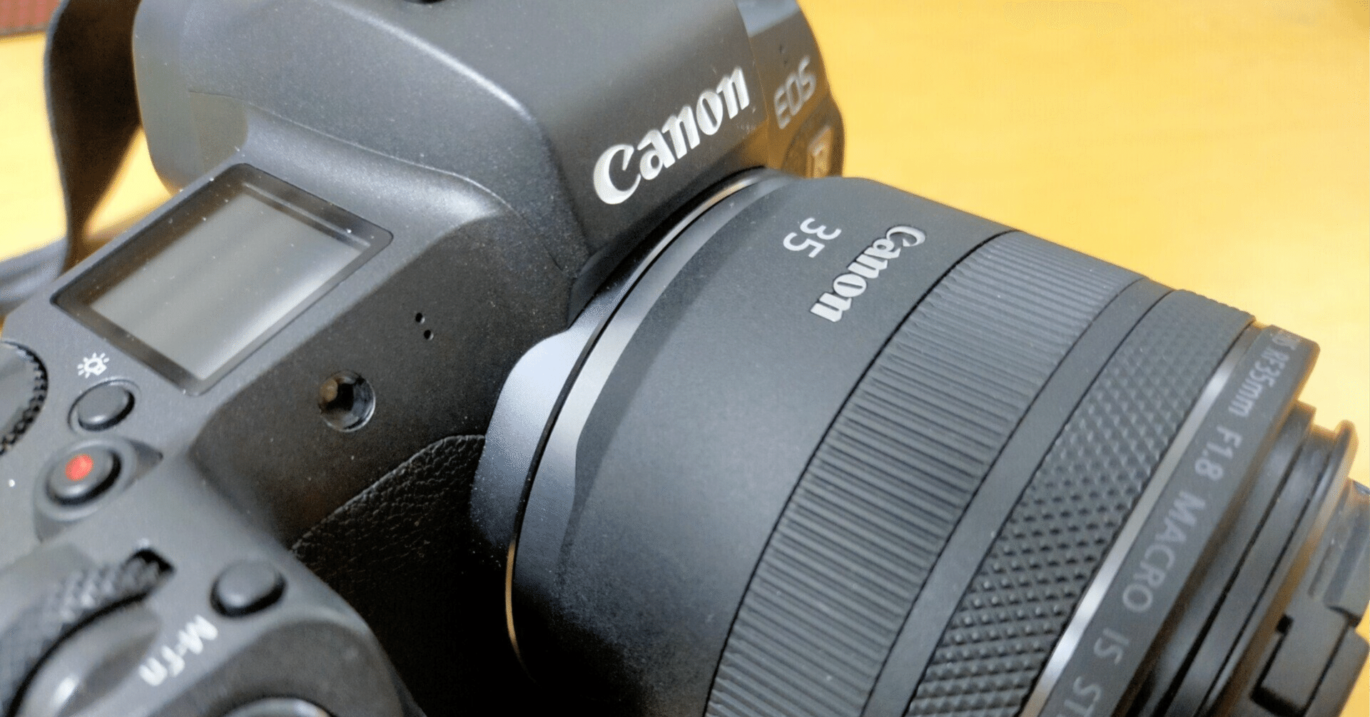 予算10万円以内！初心者向けCanonミラーレスカメラおすすめ3選【写真